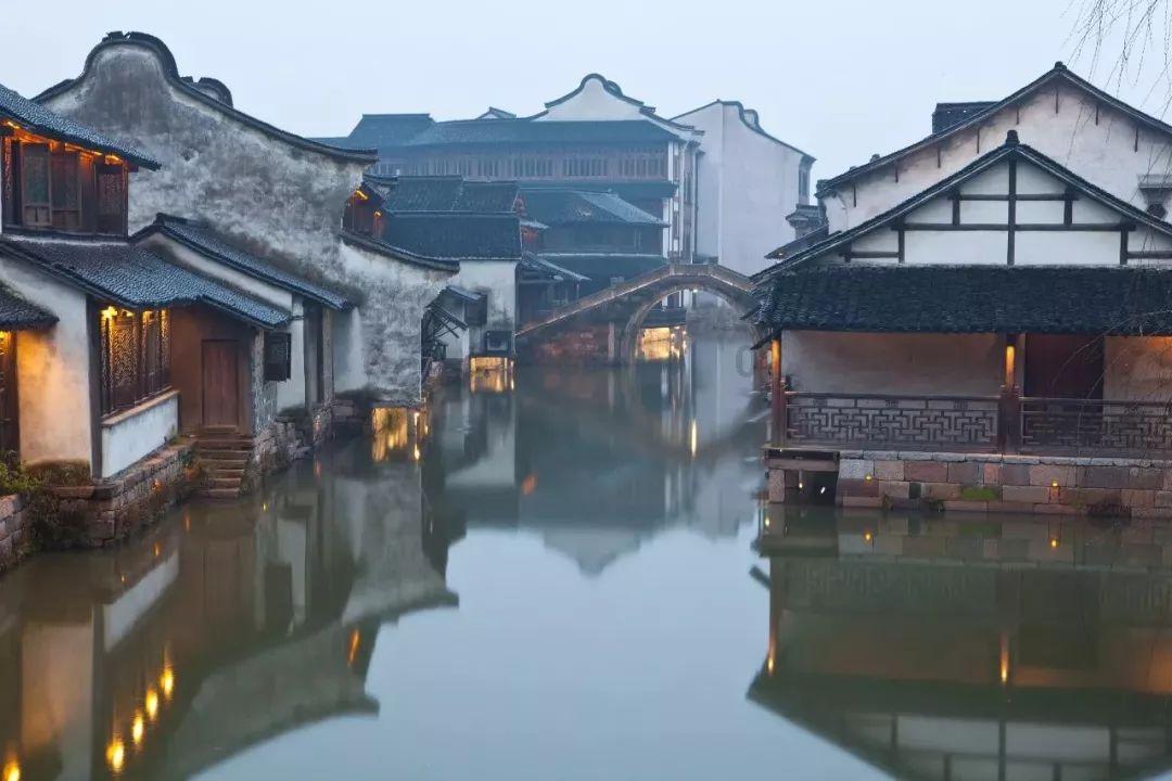 小僵尸射飞鸟